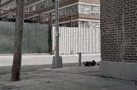 https://mail.jaimebelda.com:443/files/gimgs/th-4_DSC5135-copia_P.jpg